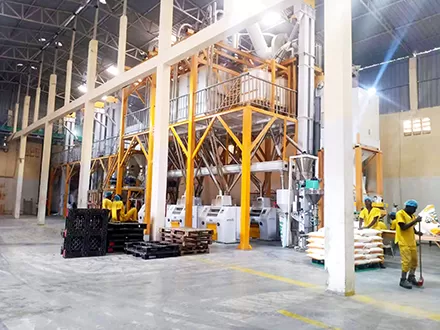 Planta de molino harinero de maíz 150TPD