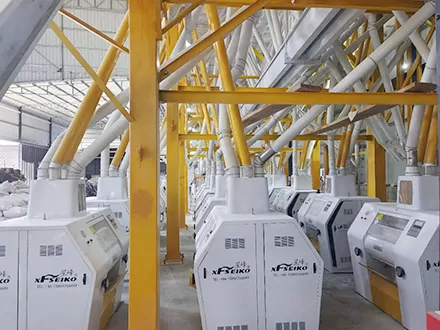 Planta de molino de harina de trigo con estructura de acero 260TPD